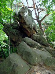 Obraz premium Diabli Kamień w Szczyrzycu to imponujący pomnik przyrody nieożywionej, kolosalna skała piaskowcowa będąca ostańcem, o której krążą legendy, że upuścił ją diabeł.