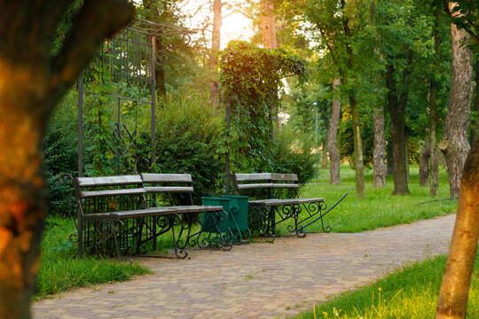 morning park spring landscape local place without people walking trail empty benches and green plants and trees under sun rise light peaceful environment space - Powered by Adobe