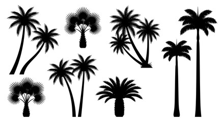 Fototapeta premium Vector palm tree silhouette collection featuring various tropical plant shapes for vacation and summer themes