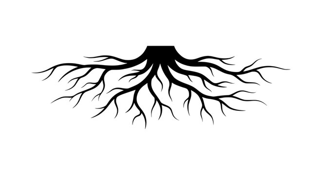 Spreading tree roots vector silhouette isolated on a clean white background representing nature growth and foundation strength