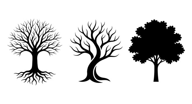 Set of three diverse vector tree silhouettes featuring bare branches with roots and a leafy mature tree shape.