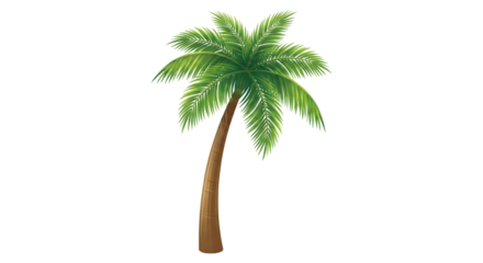 Vibrant green palm tree with a graceful brown trunk symbolizing tropical vacation and exotic destinations isolated on transparent background