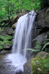 Wasserfall in gr&uuml;ner Landschaft, Europa