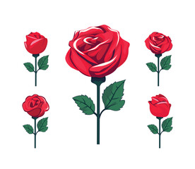set of red roses vector illustration