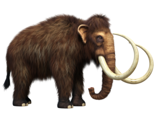 A detailed illustration of a woolly mammoth with large tusks on a black background prehistoric animal