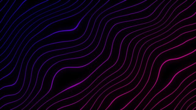 pink violet abstract animated moving liquid wavy lines pattern topographic contour map geographic geometric grid line art cartography video animation seamless loop motion graphics footage