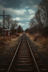 Fototapeta premium A captivating view of a long, straight railway track receding into the hazy distance, creating a powerful sense of leading lines and perspective. The scene is framed by skeletal, bare trees and dry, g