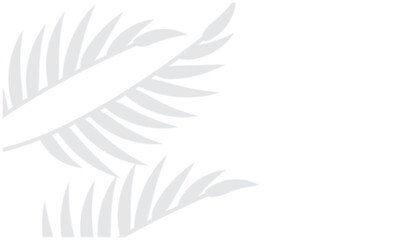 Tropical palm leaf shadow on white background. Soft blurred palm leaf shadow on a light backdrop, ideal for summer design, minimalist layouts, natural themes, and modern branding visuals.

