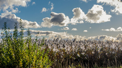 Okolice jez. Resko k/Mrzeżyna © lech