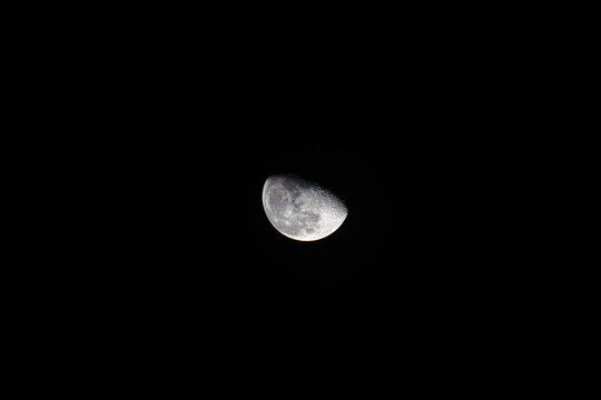 White Moon