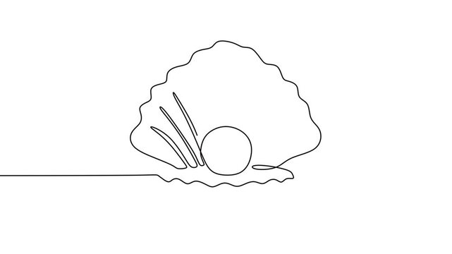 Minimalist Continuous Line Drawing of a Pearl Oyster Shell