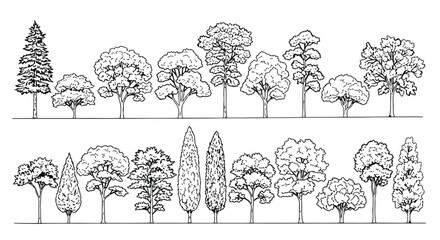 Collection of hand drawn black and white tree line art.