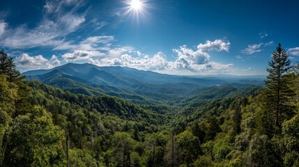 Mountain vista, lush green forest fills the valley under bright sunlight