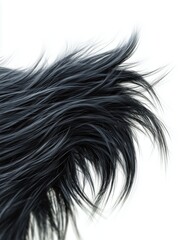 Fluffy black fur texture close-up isolated on white background. Realistic soft faux fur surface with long flowing strands and natural organic movement for modern design.