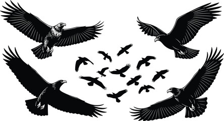 Majestic flying eagle and bird silhouette vector illustration set featuring soaring raptors, dynamic wingspread poses, wildlife freedom symbols for nature themed graphic design projects
