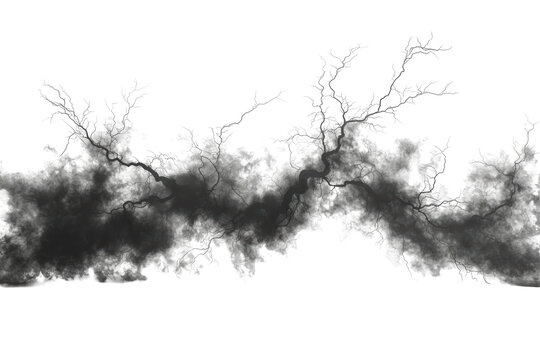 Abstract Black Smoke And Branches. Mysterious And Atmospheric Design Element Isolated On Transparent Background