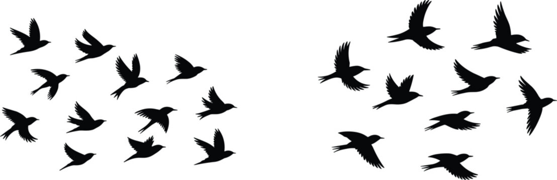 Flying bird silhouette collection, flock in motion, black winged icons, nature flight sketch, minimalist wildlife design, aerial pattern illustration