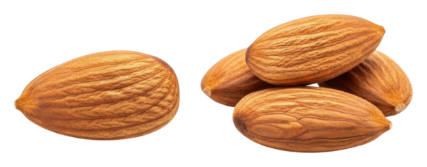 Harvesting almonds orchard food natural isolated on transparent background