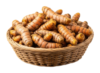 Harvesting fresh turmeric roots market stall food indoors isolated on transparent background