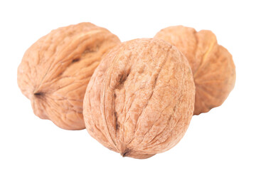 Walnut isolated on white background