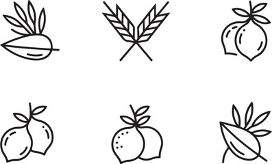 Botanical Line Art Icons, Organic Fruit and Grain Symbol Set for Branding