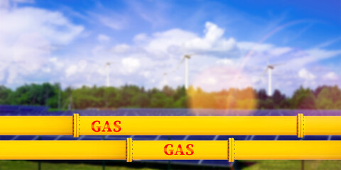 wheat field on the background of blue sky with clouds