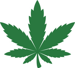 cannabis leaf vector illustration