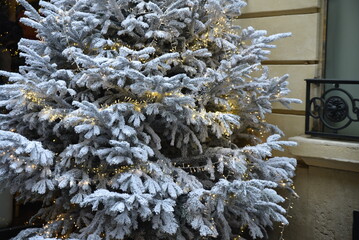 Sapin de Noël enneigé