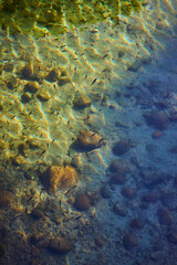 Clear Water Fish and Rocks in Sunlight on Lakebed