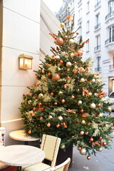 Sapin dans la rue à Noël