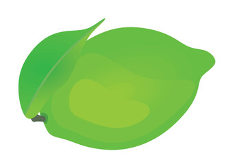 Green lime isolated. vector illustration