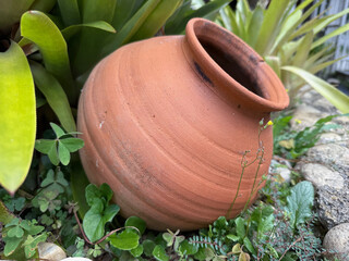 Rustic Terracotta Pot Decoration in Lush Green Garden with Tropical Plants