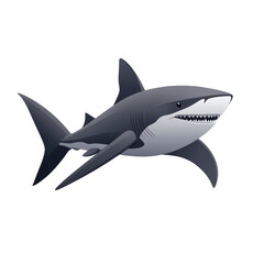 Obraz premium Shark Illustration. Marine Life And Ocean Predator Concept Isolated On Transparent Background