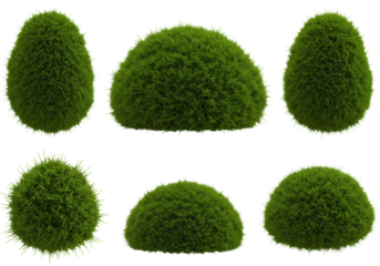 six hyper-detailed, vibrant emerald green 3d moss tufts, featuring organic shapes and fine texture, against a transparent background with copy space. architectural visualization asset concept