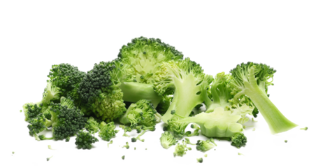 Fresh raw broccoli isolated on white background, side view