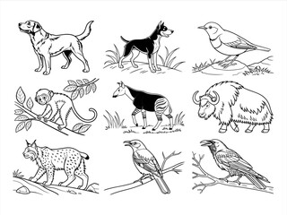 coloring page line art the animal and bird black vector bundle