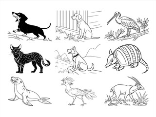 coloring page line art the animal and bird black vector bundle