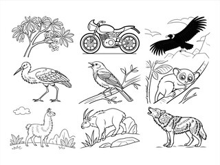 coloring page line art the animal and bird black vector bundle