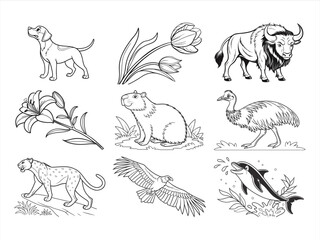 coloring page line art the animal and bird black vector bundle