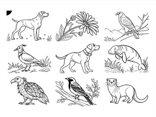 coloring page line art the animal and bird black vector bundle