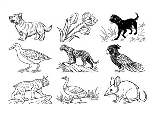coloring page line art the animal and bird black vector bundle