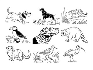 coloring page line art the animal and bird black vector bundle