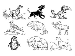 coloring page line art the animal and bird black vector bundle