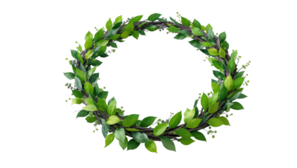 Green Leaf Wreath Frame Isolated