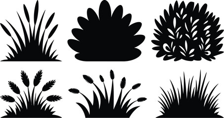 Plant Vector Set, Grass, Bushes, and Reeds Silhouette Collection