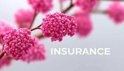 Modern insurance concept with bold white lettering on a clean blurred background, creating a versatile corporate visual suitable for websites, financial presentations, promotional materials and busine