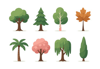 Tree collection, flat vector illustration of nature, plants, seasonal foliage