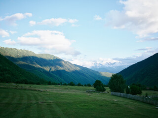 Naklejka premium Valley and mountain landscape with green fields, scattered trees, and distant snow capped peaks under a bright blue sky, exuding tranquil nature for outdoor, travel, and countryside themes