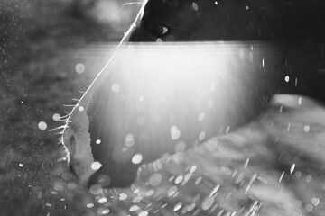 Water droplets blurred with horse face in background, animal bath concept on farm in black and white.