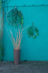 Dettaglio del muro di una casa di colore acquamarina di Burano con delle piante appese a delle vecchie reti da pesca